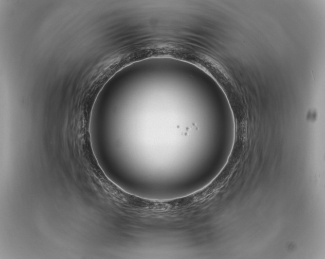 X0000094181111200710261125