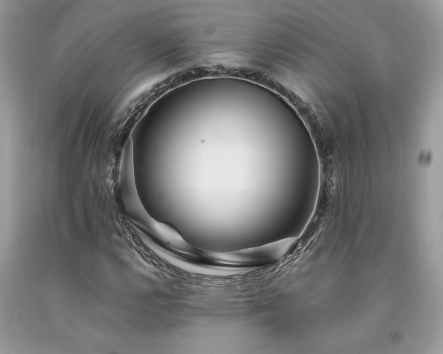 X0000094181112200710261125