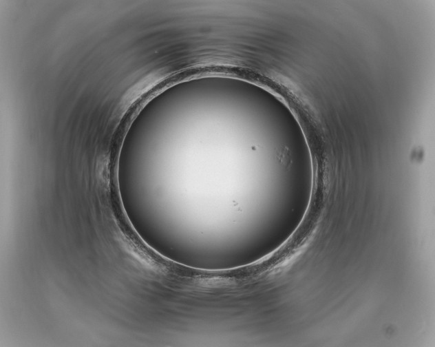 X0000094181113200710261125