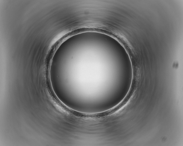 X0000094181114200710261125