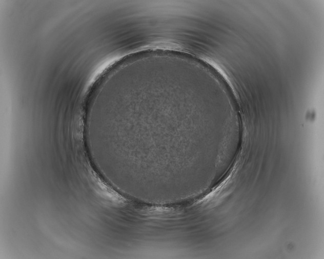 X0000094181115200710261125