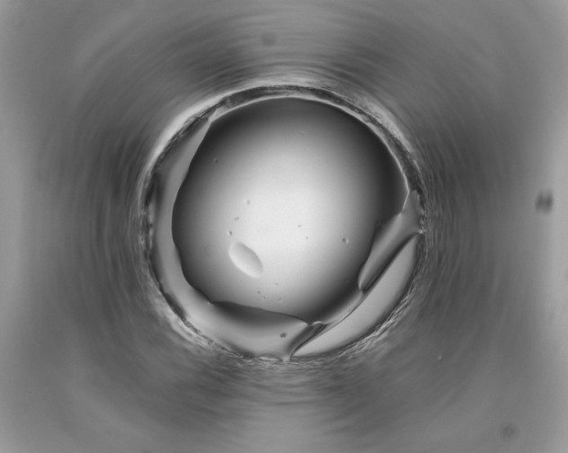X0000094181116200710261125