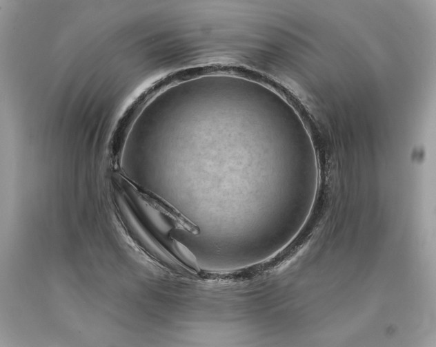 X0000094181118200710261125