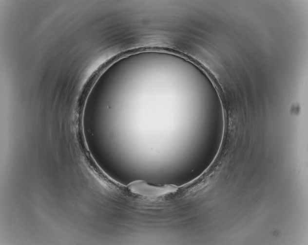 X0000094181119200710261125