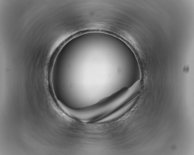 X0000094181120200710261125