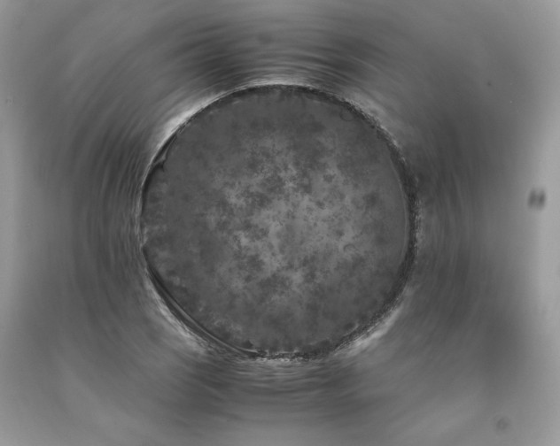 X0000094181121200710261126