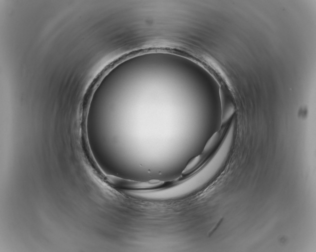 X0000094181124200710261126