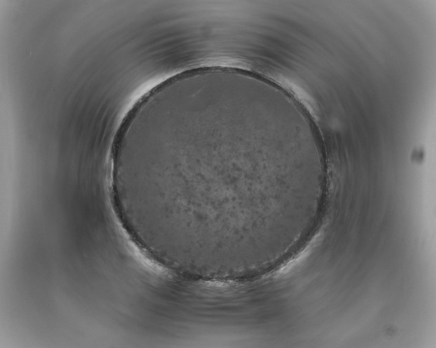 X0000094181125200710261126