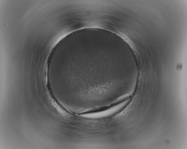 X0000094181127200710261126