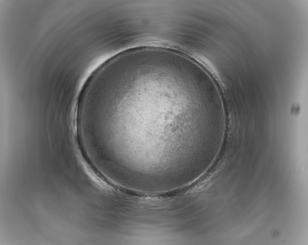 X0000094181128200710261126