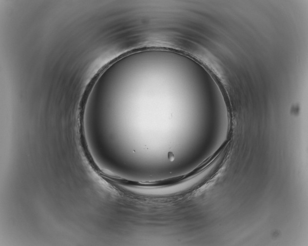 X0000094181133200710261126