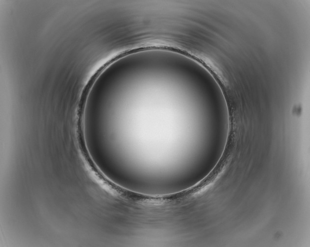 X0000094181134200710261126