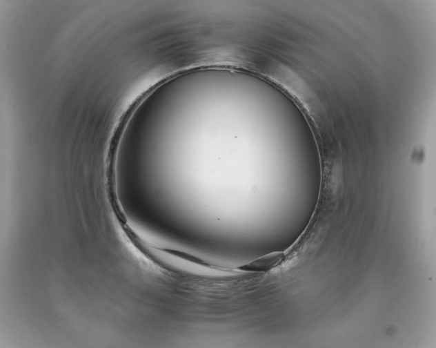 X0000094181135200710261126