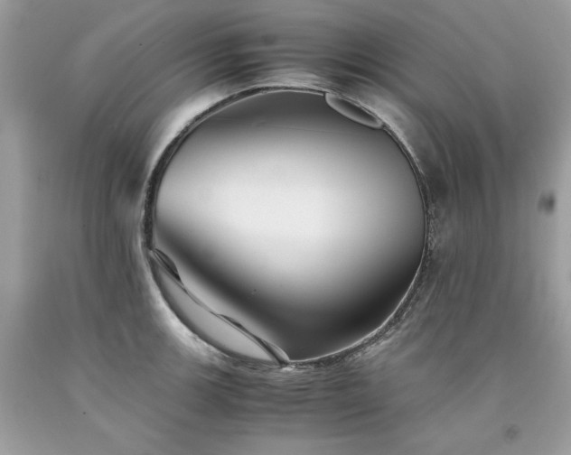 X0000094181139200710261126
