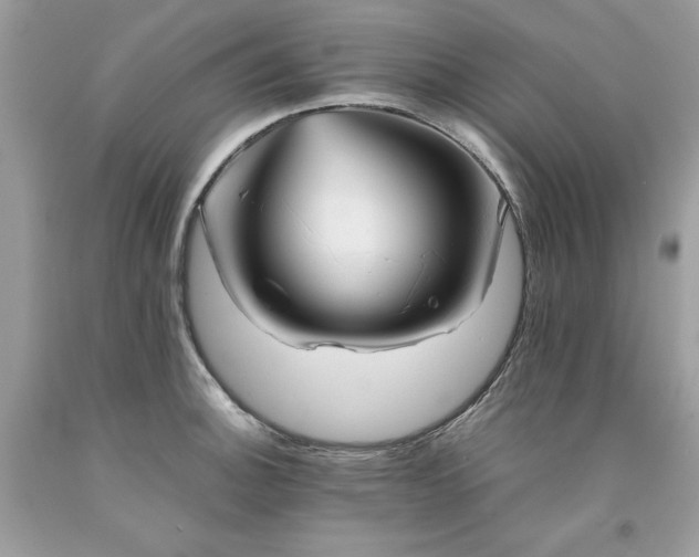 X0000094181140200710261126