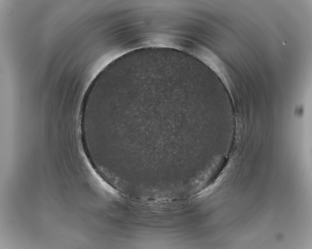 X0000094181141200710261126
