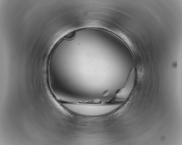 X0000094181142200710261126