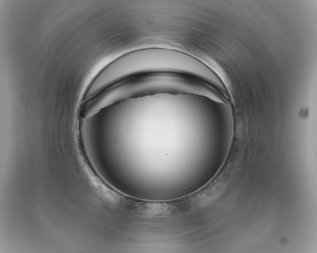 X0000094181144200710261126