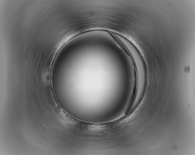 X0000094181145200710261126