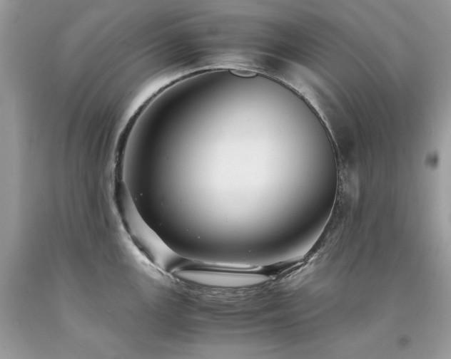 X0000094181147200710261126