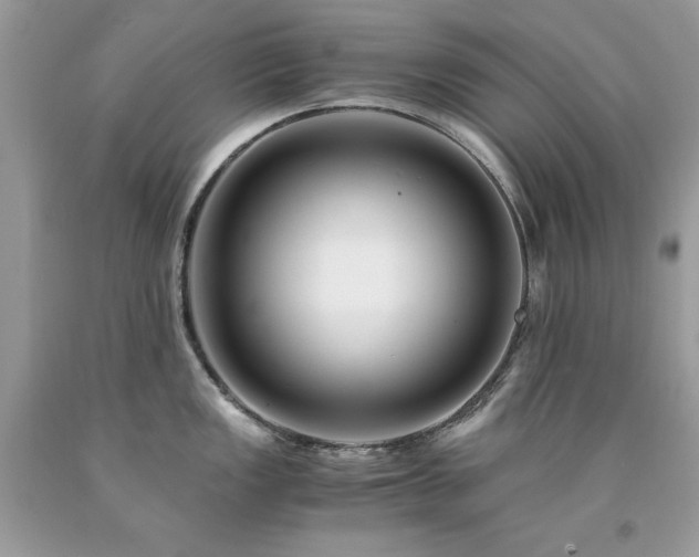 X0000094181149200710261126