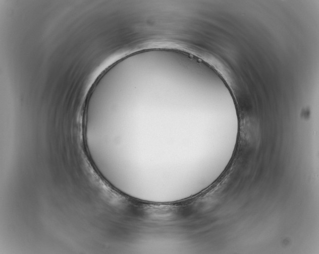 X0000094181150200710261126
