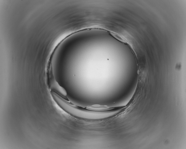 X0000094181151200710261126