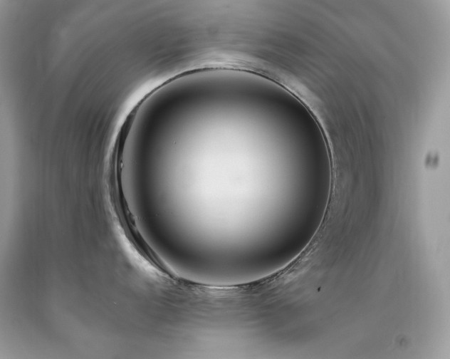 X0000094181152200710261126