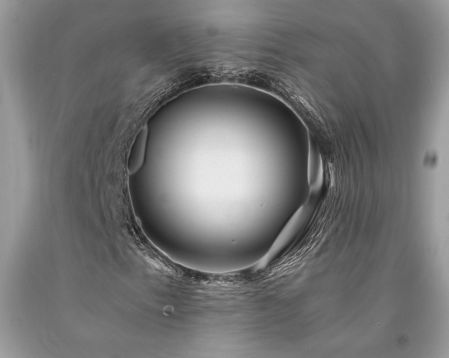 X0000094181153200710261125