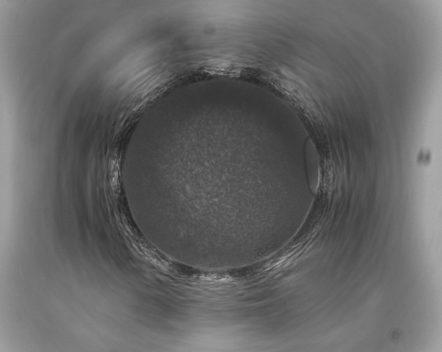 X0000094181154200710261125