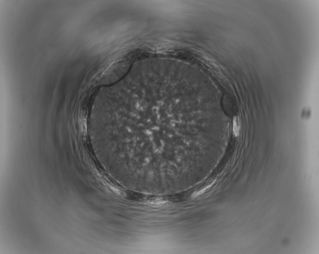 X0000094181155200710261125