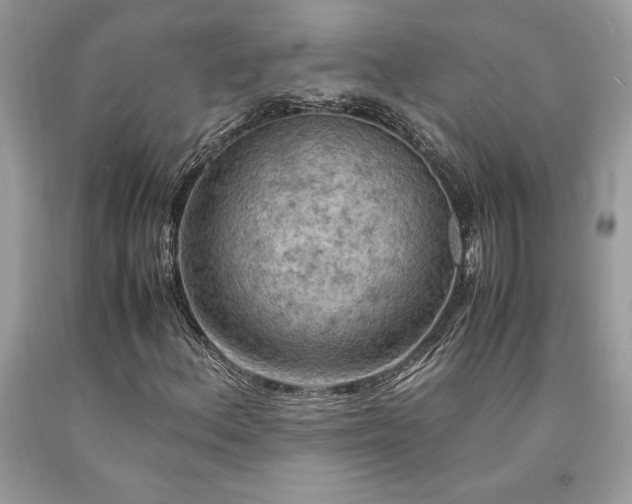 X0000094181156200710261125