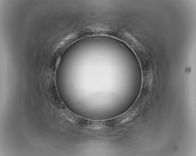 X0000094181157200710261125