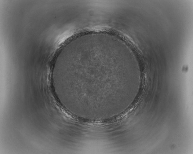 X0000094181158200710261125