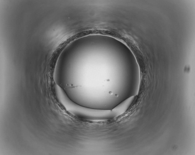 X0000094181159200710261125