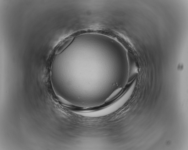 X0000094181160200710261125