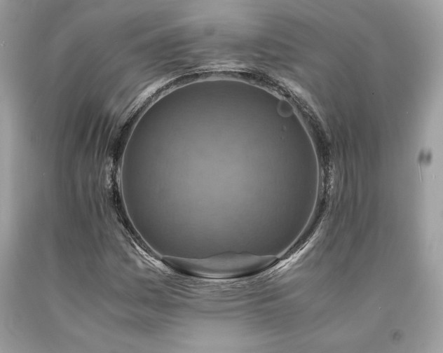 X0000094181161200710261125