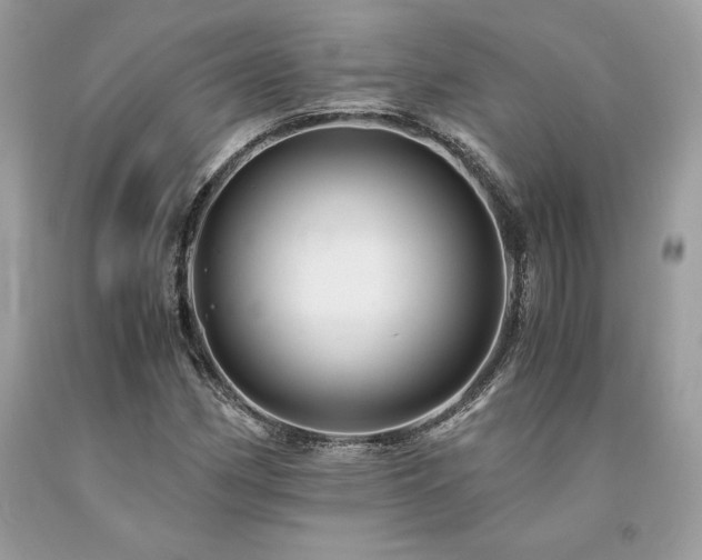 X0000094181162200710261125