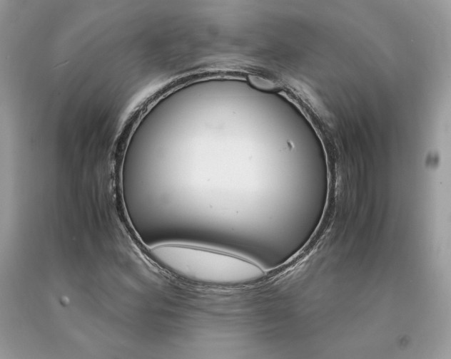 X0000094181164200710261125