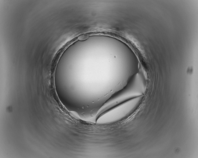 X0000094181165200710261125