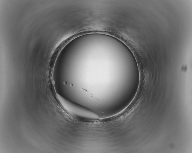 X0000094181166200710261125