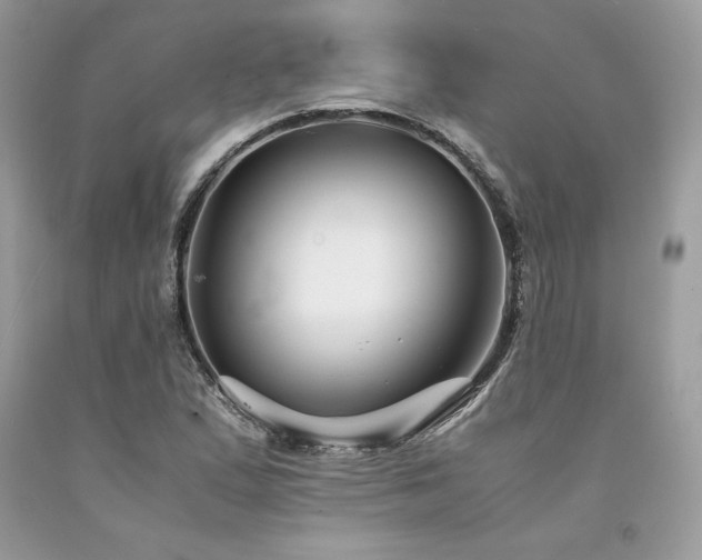 X0000094181167200710261125