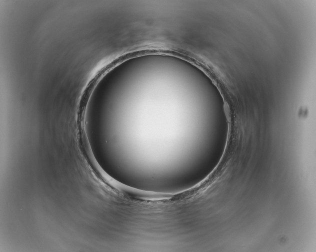X0000094181168200710261125