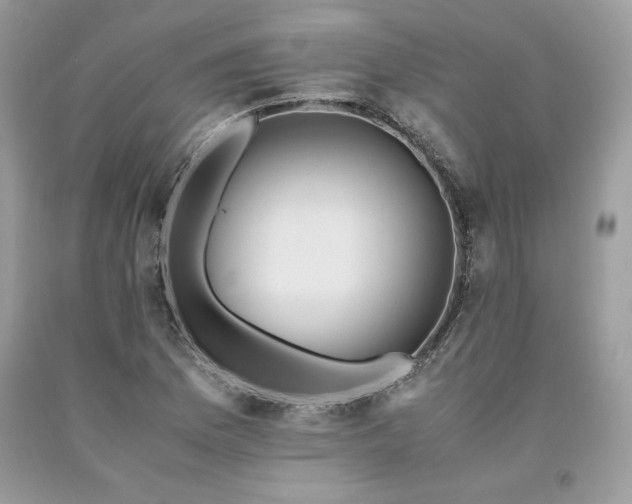 X0000094181169200710261125