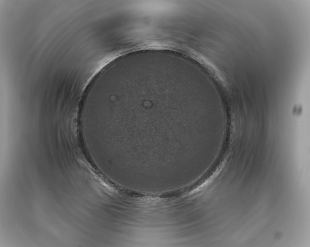 X0000094181170200710261125