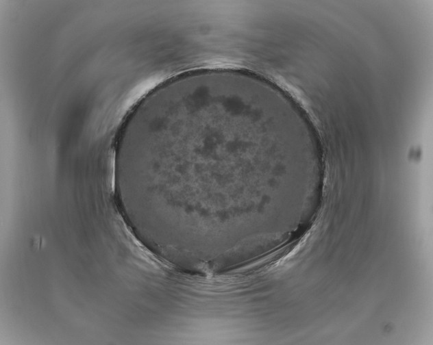 X0000094181171200710261125