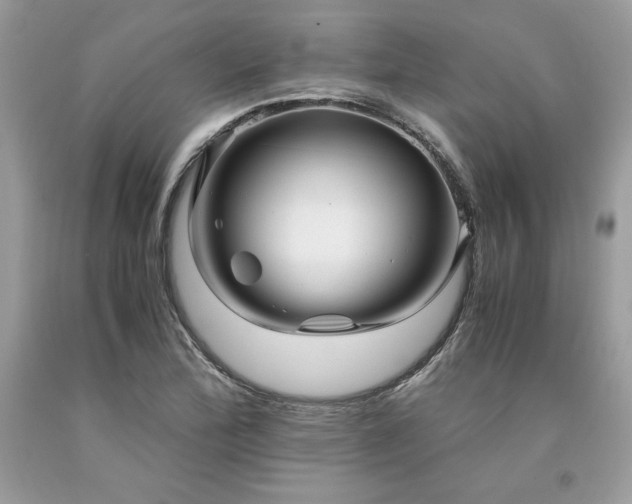 X0000094181172200710261125