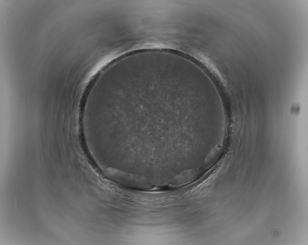 X0000094181173200710261125