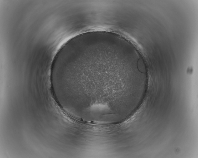 X0000094181174200710261125