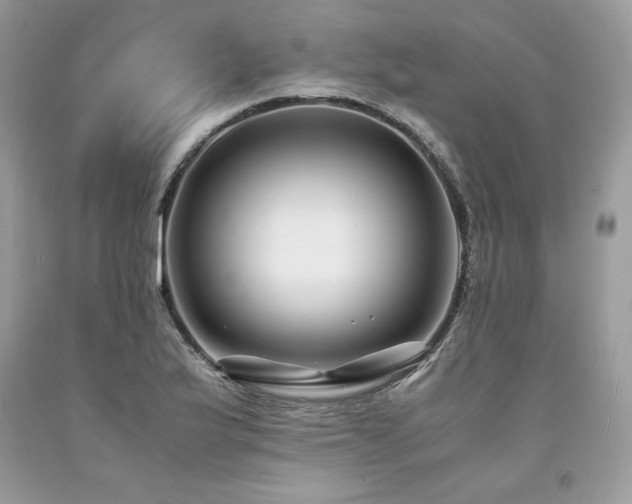 X0000094181175200710261125